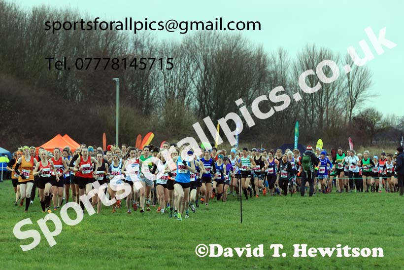 Senior womens 2023 North Eastern Cross Country Champs., Temple Park, South Shields. Photo: David T. Hewitson/Sports for All Pics